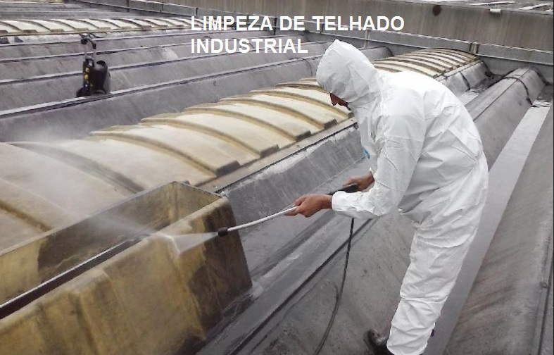 Imagem_Telhado Industrial_Detergente Multiação.jpg