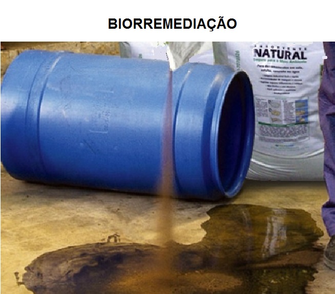 Imagem Site_Biorremediação_2018.jpg