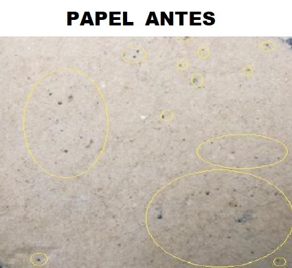 Imagem Site 2_PITCH ANTES.jpg