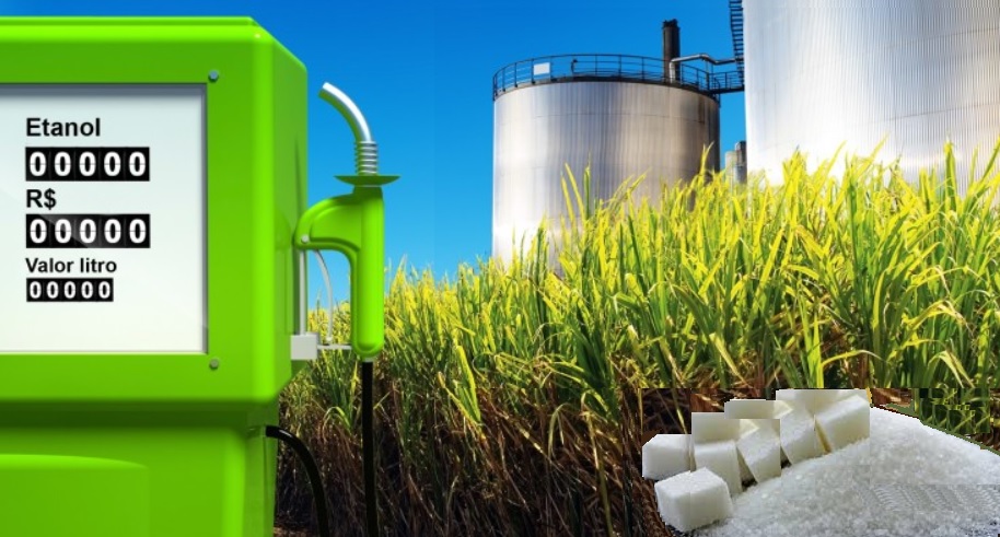 Imagem Site_Higienização_Biocidas_Usinas.jpg