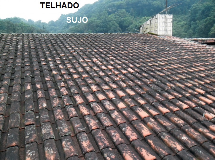 Imagem_Telhado Sujo_Detergente Multiação.jpg